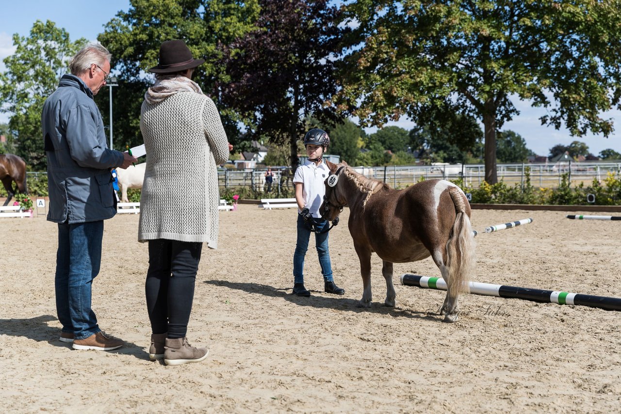 Bild 164 - Pony Akademie Turnier